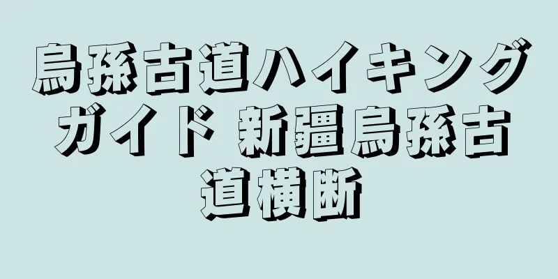 烏孫古道ハイキングガイド 新疆烏孫古道横断
