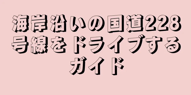 海岸沿いの国道228号線をドライブするガイド