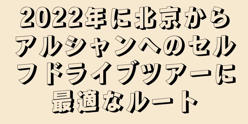 2022年に北京からアルシャンへのセルフドライブツアーに最適なルート