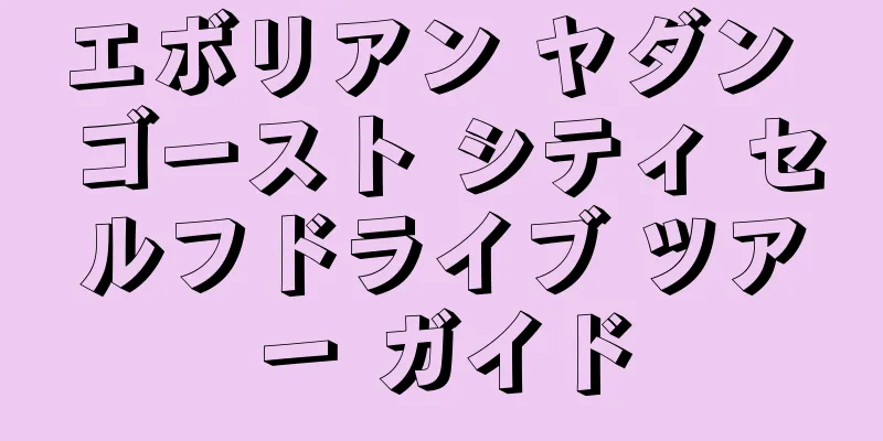 エボリアン ヤダン ゴースト シティ セルフドライブ ツアー ガイド