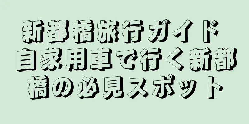 新都橋旅行ガイド 自家用車で行く新都橋の必見スポット