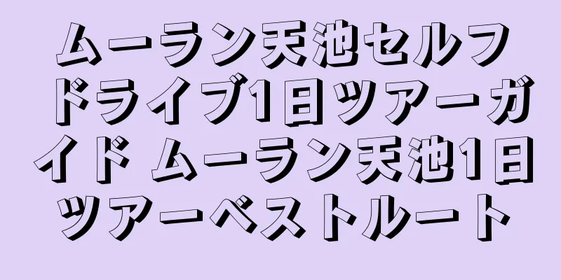 ムーラン天池セルフドライブ1日ツアーガイド ムーラン天池1日ツアーベストルート