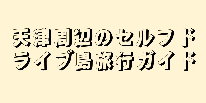天津周辺のセルフドライブ島旅行ガイド