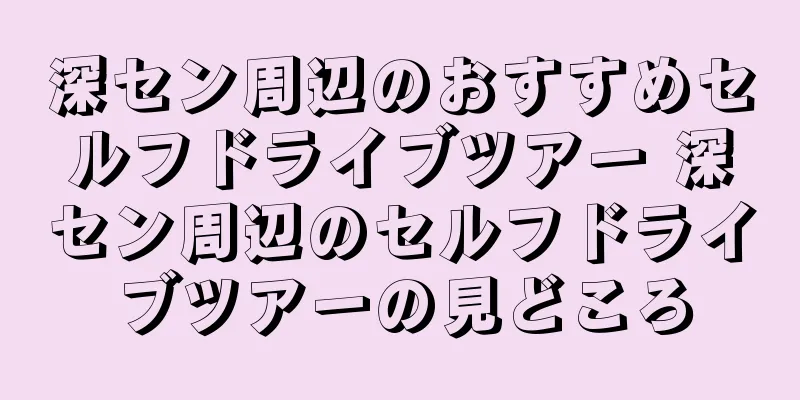 深セン周辺のおすすめセルフドライブツアー 深セン周辺のセルフドライブツアーの見どころ