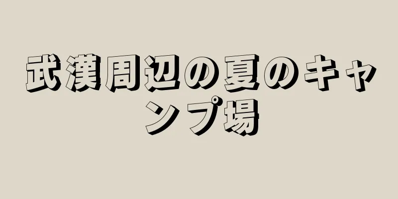 武漢周辺の夏のキャンプ場