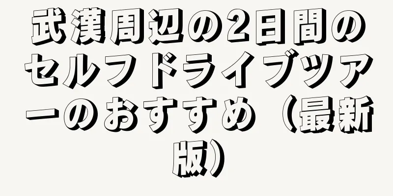 武漢周辺の2日間のセルフドライブツアーのおすすめ（最新版）