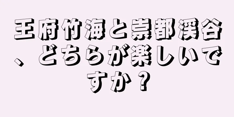 王府竹海と崇都渓谷、どちらが楽しいですか？