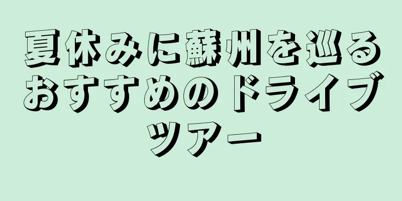 夏休みに蘇州を巡るおすすめのドライブツアー