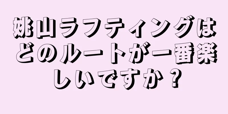 姚山ラフティングはどのルートが一番楽しいですか？