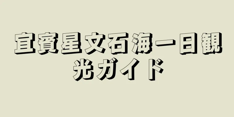 宜賓星文石海一日観光ガイド