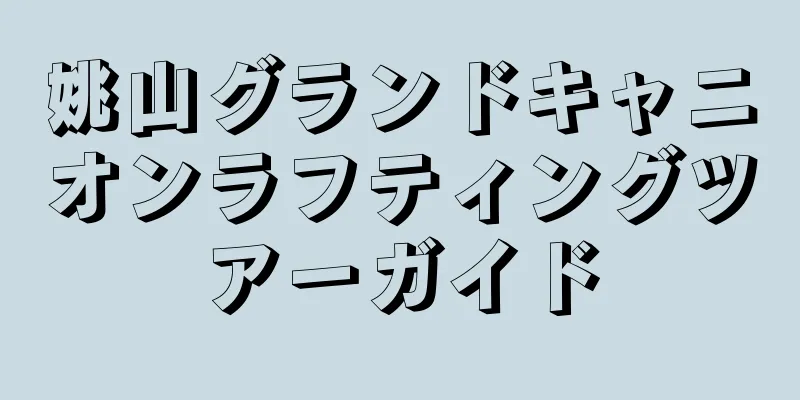姚山グランドキャニオンラフティングツアーガイド