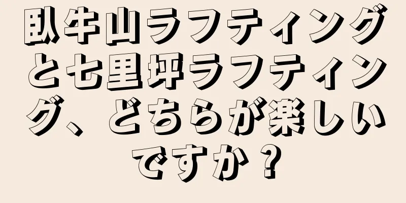 臥牛山ラフティングと七里坪ラフティング、どちらが楽しいですか？