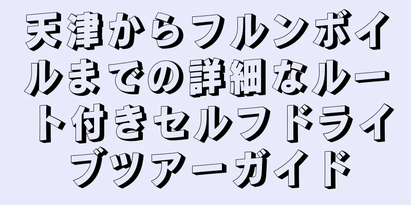 天津からフルンボイルまでの詳細なルート付きセルフドライブツアーガイド