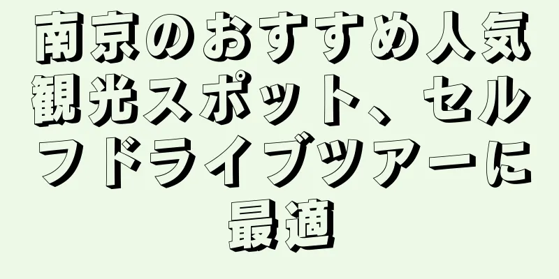 南京のおすすめ人気観光スポット、セルフドライブツアーに最適
