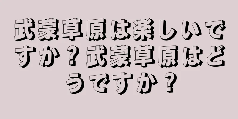 武蒙草原は楽しいですか？武蒙草原はどうですか？