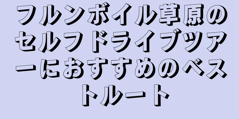 フルンボイル草原のセルフドライブツアーにおすすめのベストルート