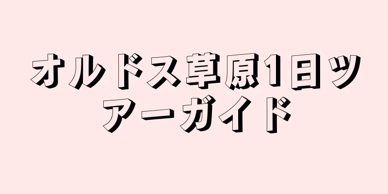 オルドス草原1日ツアーガイド