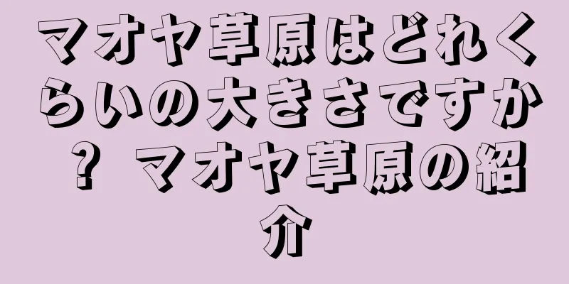 マオヤ草原はどれくらいの大きさですか？ マオヤ草原の紹介
