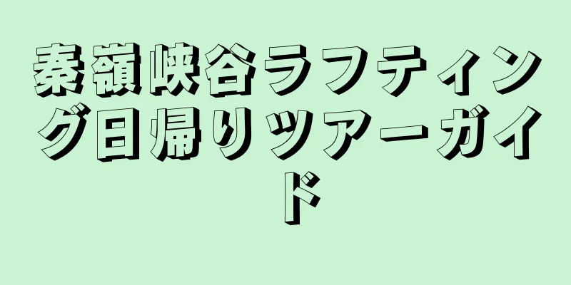 秦嶺峡谷ラフティング日帰りツアーガイド