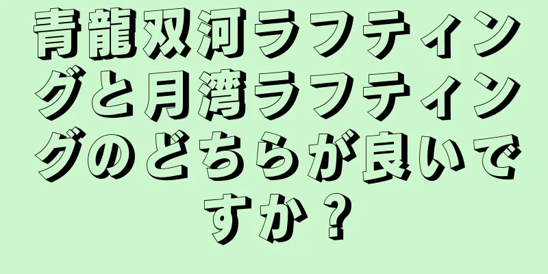青龍双河ラフティングと月湾ラフティングのどちらが良いですか？