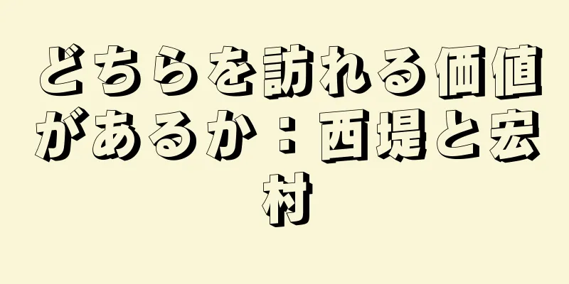 どちらを訪れる価値があるか：西堤と宏村