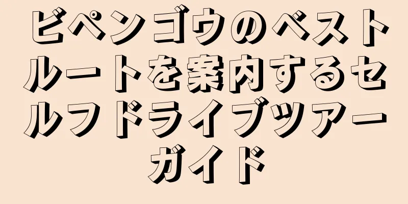 ビペンゴウのベストルートを案内するセルフドライブツアーガイド