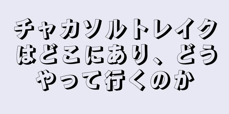 チャカソルトレイクはどこにあり、どうやって行くのか