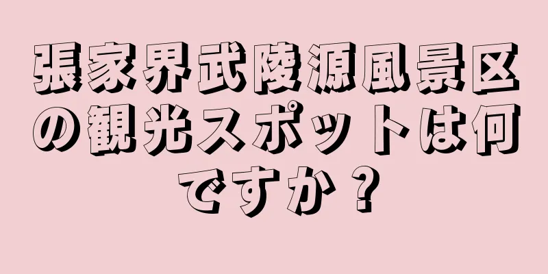 張家界武陵源風景区の観光スポットは何ですか？