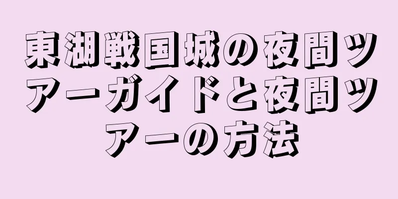 東湖戦国城の夜間ツアーガイドと夜間ツアーの方法