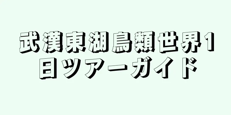 武漢東湖鳥類世界1日ツアーガイド