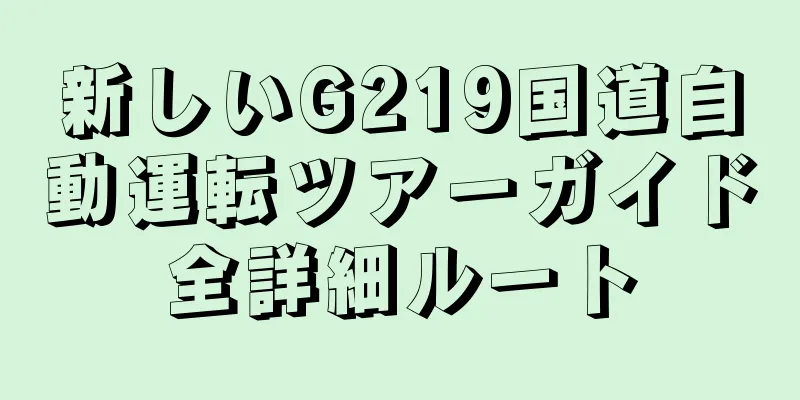 新しいG219国道自動運転ツアーガイド全詳細ルート
