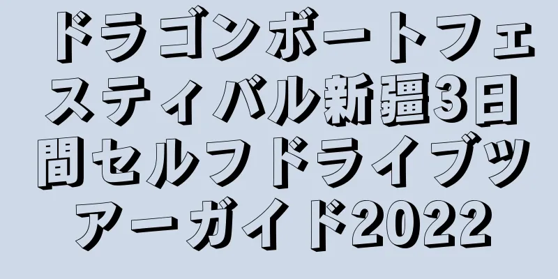 ドラゴンボートフェスティバル新疆3日間セルフドライブツアーガイド2022