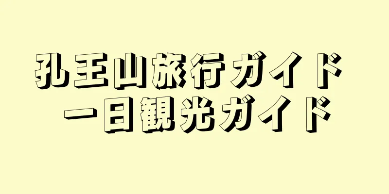 孔王山旅行ガイド 一日観光ガイド