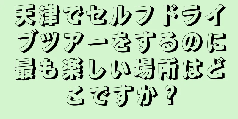 天津でセルフドライブツアーをするのに最も楽しい場所はどこですか？