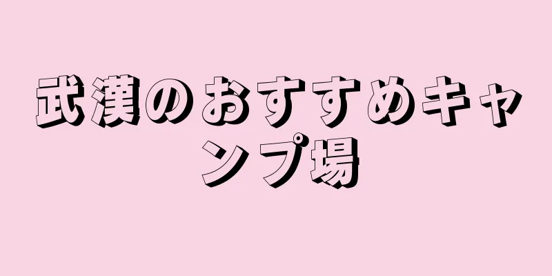 武漢のおすすめキャンプ場