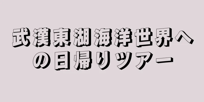 武漢東湖海洋世界への日帰りツアー