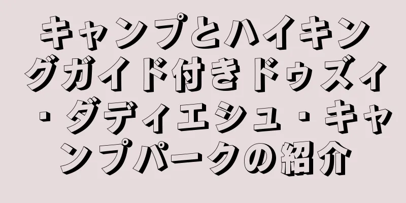 キャンプとハイキングガイド付きドゥズィ・ダディエシュ・キャンプパークの紹介