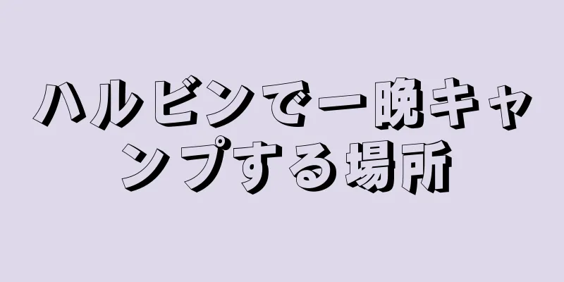 ハルビンで一晩キャンプする場所