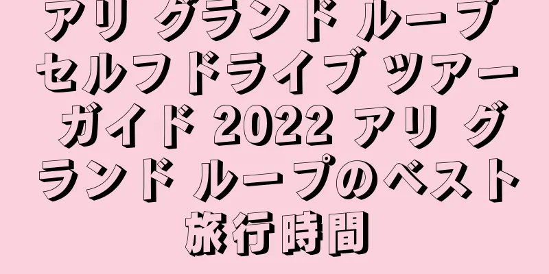 アリ グランド ループ セルフドライブ ツアー ガイド 2022 アリ グランド ループのベスト旅行時間