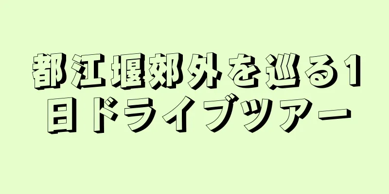 都江堰郊外を巡る1日ドライブツアー