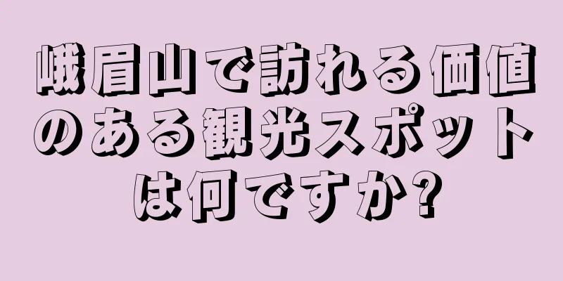 峨眉山で訪れる価値のある観光スポットは何ですか?
