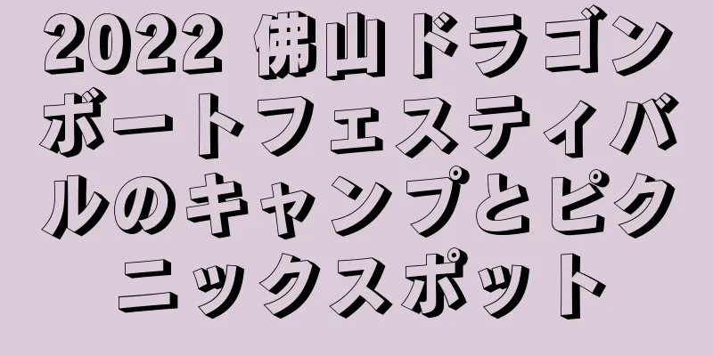 2022 佛山ドラゴンボートフェスティバルのキャンプとピクニックスポット