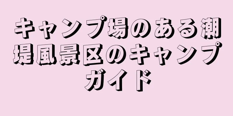 キャンプ場のある潮堤風景区のキャンプガイド