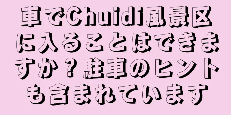 車でChuidi風景区に入ることはできますか？駐車のヒントも含まれています