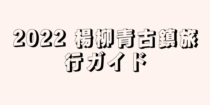2022 楊柳青古鎮旅行ガイド