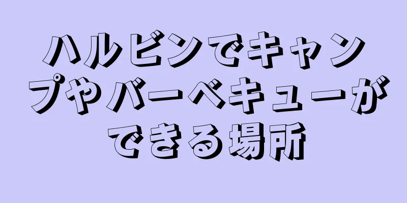ハルビンでキャンプやバーベキューができる場所
