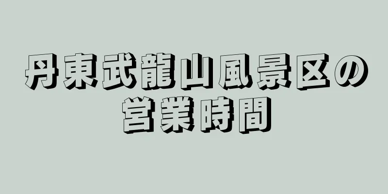 丹東武龍山風景区の営業時間