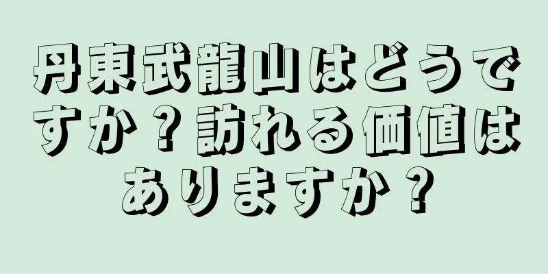 丹東武龍山はどうですか？訪れる価値はありますか？
