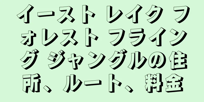 イースト レイク フォレスト フライング ジャングルの住所、ルート、料金