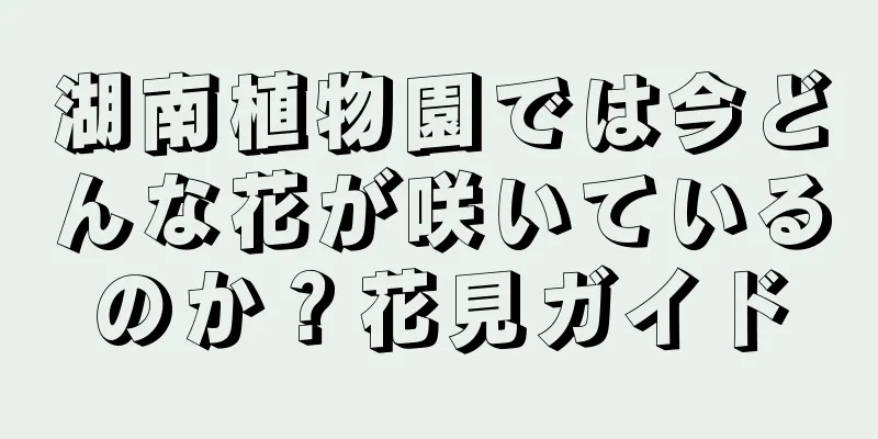 湖南植物園では今どんな花が咲いているのか？花見ガイド